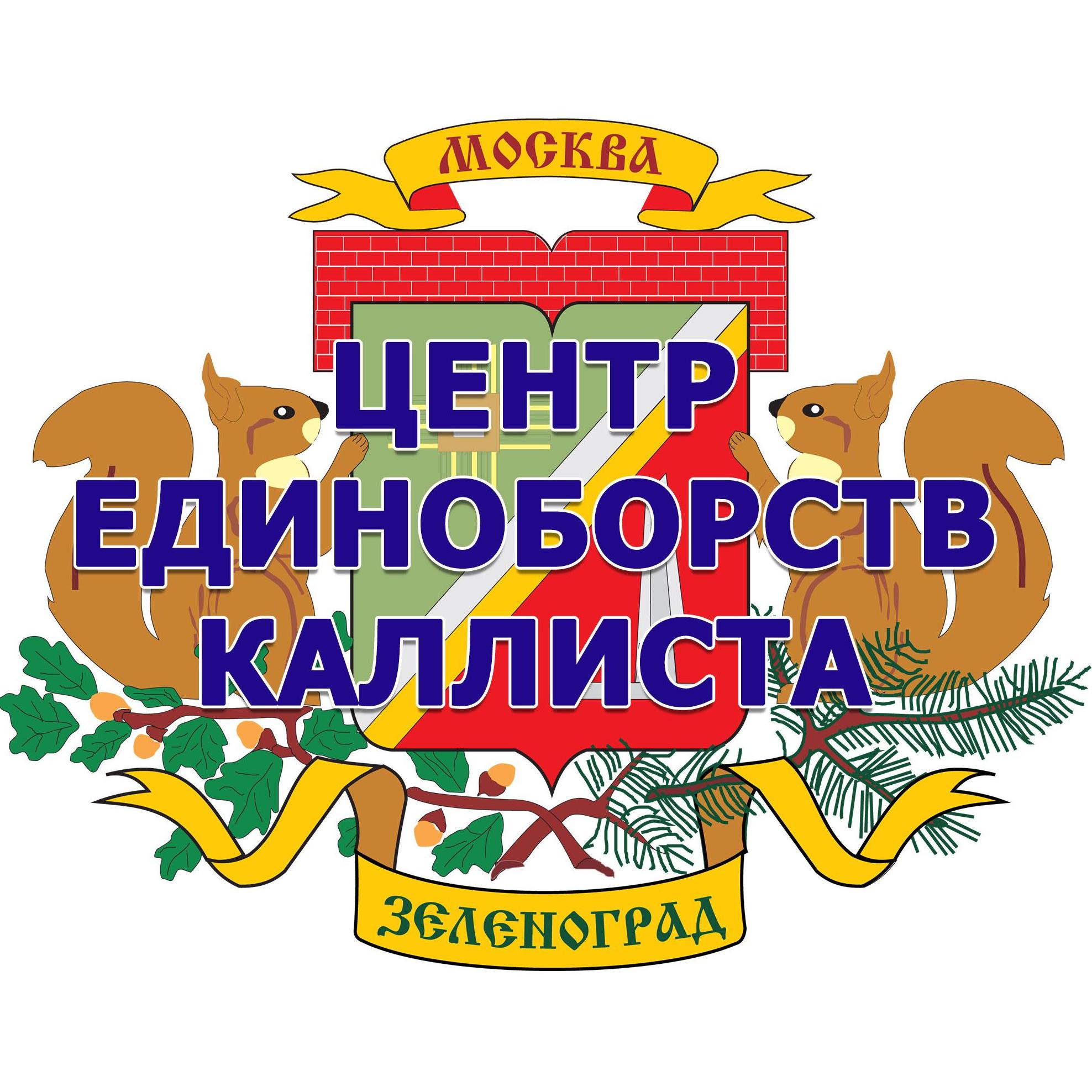 Единоборства в Зеленограде. Самбо. Дзюдо. Каратэ. Бокс. Джиу-джитсу. ММА.