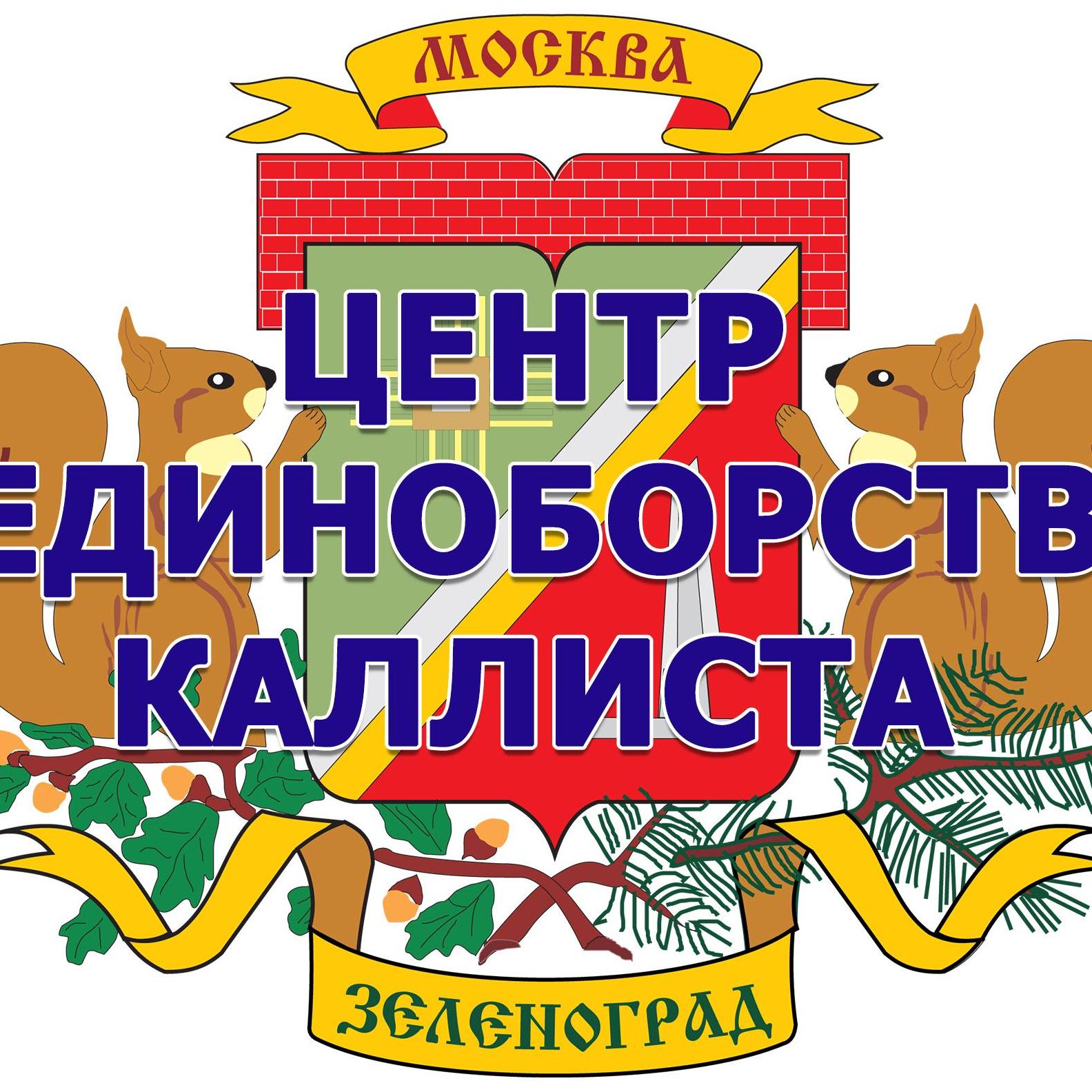 Дзюдо Зеленоград.